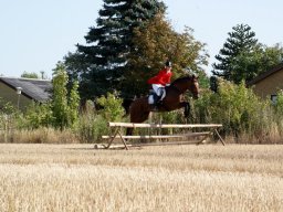 577089_10151090368493585_1298004537_n